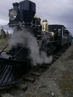 13th October First Day Running with Carriage at Mandeville